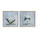 Blue Botanical Square Pair by Cady Karras