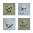 Blue & Green Botanical Square Set of 4 by Cady Karras