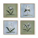 Blue & Green Botanical Square Set of 4 by Cady Karras