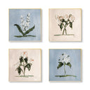 Pink & Blue Botanical Square Set of 4 by Cady Karras