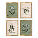 Pink & Green Botanical Set of 4 by Cady Karras