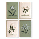 Pink & Green Botanical Set of 4 by Cady Karras