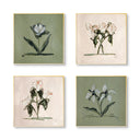 Pink & Green Botanical Square Set of 4 by Cady Karras