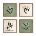 Pink & Green Botanical Square Set of 4 by Cady Karras