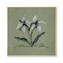 Green Botanical No. 2 Square by Cady Karras