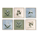Botanical Square Set of 6 by Cady Karras