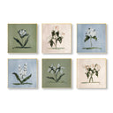 Botanical Square Set of 6 by Cady Karras