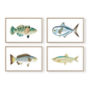 Vintage Blue Fish Set