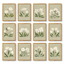 Freshly Picked Set of 12 by Haley Knighten