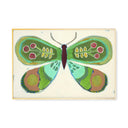 Viridescent Butterfly by Jenny Westenhofer