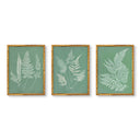 Hued Vintage Fern Trio