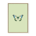 Joie du Papillon III