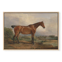 Show Horse No.2