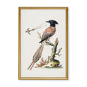 Vintage Birds on a Branch No. 1