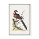 Copy of Vintage Birds on a Branch No. 2