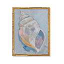 Conch No. 1 by The Painted Katie