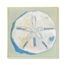 Sanddollar Shell by The Painted Katie