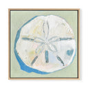 Sanddollar Shell by The Painted Katie