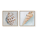 Shell Pair No. 1 by The Painted Katie