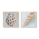 Shell Pair No. 1 by The Painted Katie
