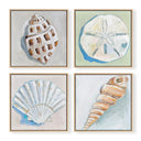 Shell Set of 4 by The Painted Katie