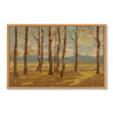 Trees at Dusk