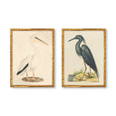 Vintage Blue Heron & Pelican Pair