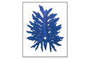 Philodendron Leaf