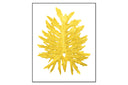 Philodendron Leaf