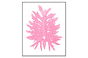 Philodendron Leaf