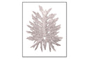 Philodendron Leaf