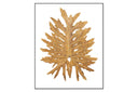 Philodendron Leaf
