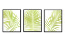 Palm Frond Trio