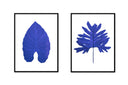 Large Leaf Pair