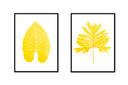 Large Leaf Pair