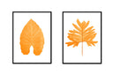 Large Leaf Pair