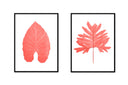 Large Leaf Pair