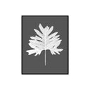 Inverted Gray Large Leaf