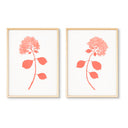 Dried Hydrangea Pair No. 1