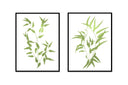 Bamboo Pair