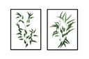 Bamboo Pair