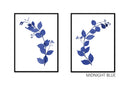 Jasmine Pair