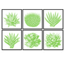 Succulent Illustration Set of 6