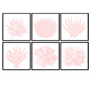 Succulent Illustration Set of 6