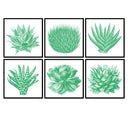 Succulent Illustration Set of 6