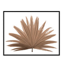 Fan Palm