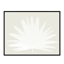 Fan Palm