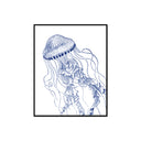 Jellyfish Vintage Illustration