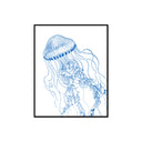 Jellyfish Vintage Illustration