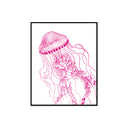 Jellyfish Vintage Illustration